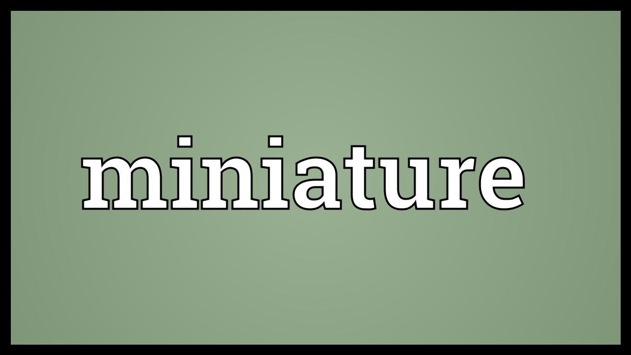 Mini definition
